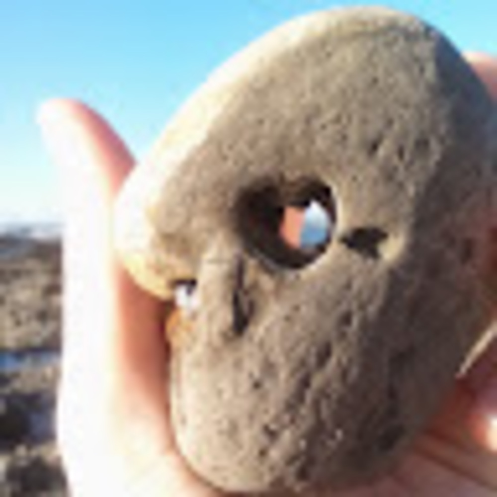 Meet your Posher, Clarissa